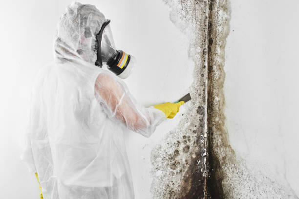 Best Mold Testing  in Buellton, CA