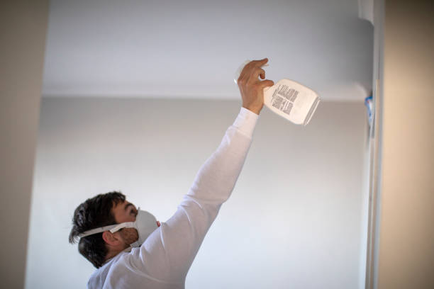 Best Mold Remediation  in Buellton, CA