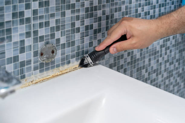 Best Attic Mold Removal  in Buellton, CA